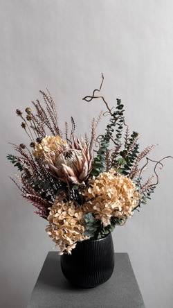 Композиция в кашпо Цинародиес