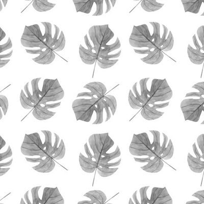 Листья монстеры серые