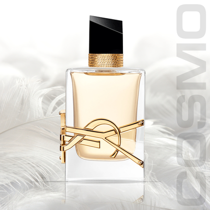 YSL libre