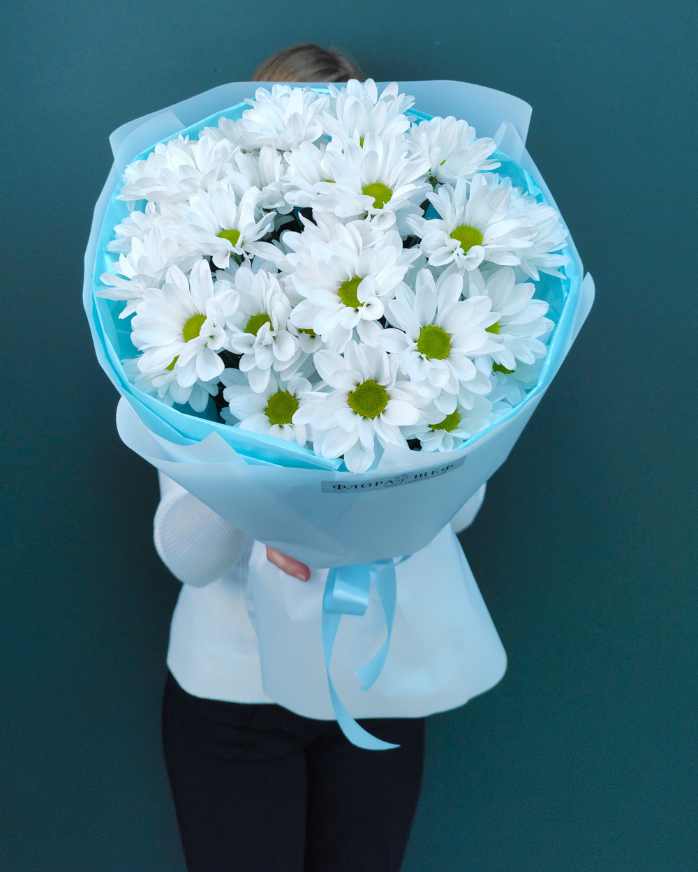 Кустовая хризантема"Ромашка",5 веток(00156)