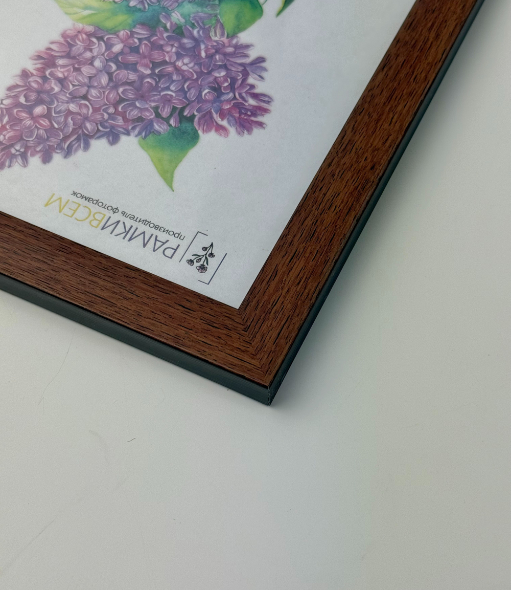 Фоторамка 15х21 см, коричневая, арт. 1521.659459