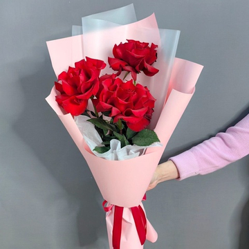 Французские розы сорта "Эксплорер" (Эквадор 60 см)