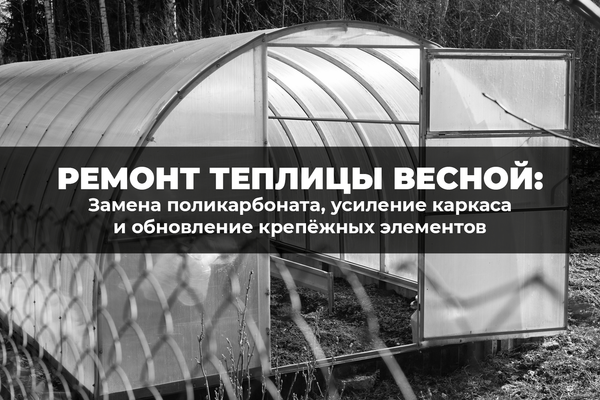 Весенний ремонт теплицы: пошаговое восстановление после зимних нагрузок Весенний ремонт теплицы: пошаговое восстановление после зимних нагрузок