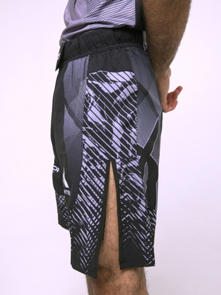 Шорты Iamfighter АСА GREY