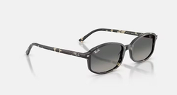 RAY-BAN SAM RB2232 133371