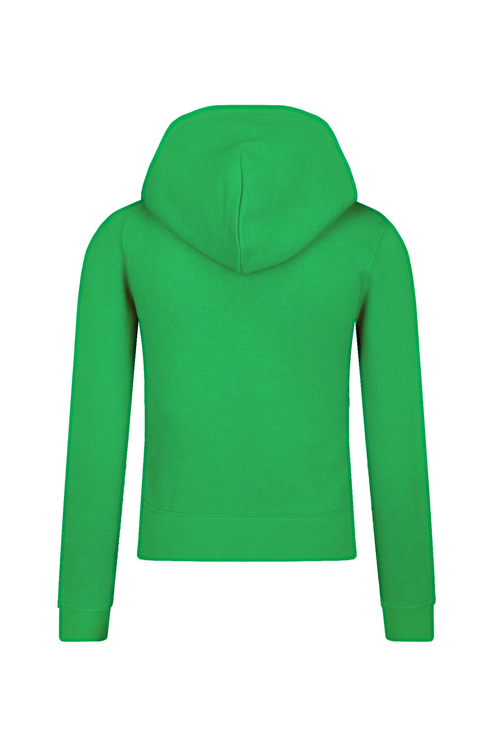 Худые POLO RALPH LAUREN - зеленый(799360)