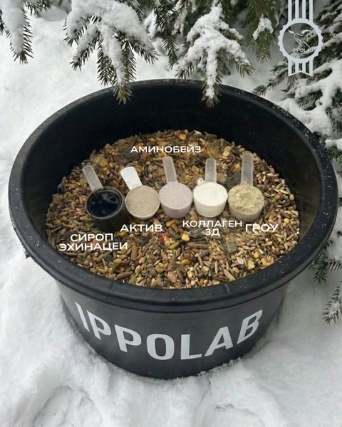 Особенности кормления лошадей зимой Особенности кормления лошадей зимой