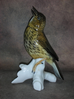 Статуэтка. Фарфор. Птица Дрозд. Karl ENS. Германия