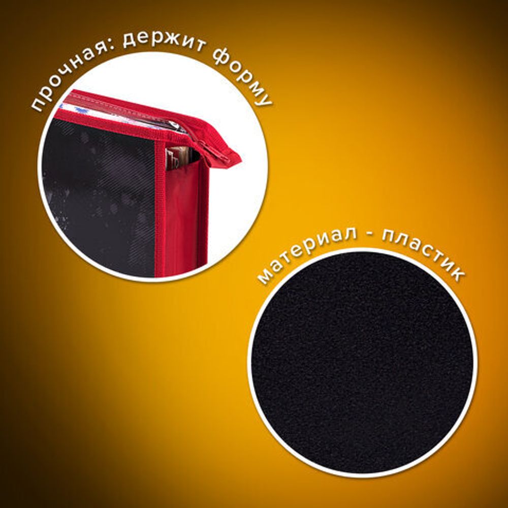 Папка для тетрадей ПИФАГОР А4, 1 отделение, картон/пластик, на молнии, "T-Rex Life", 271439