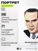 Портрет для школы в кабинет литературы и русского языка "Носов Николай Николаевич", стенд школьный для класса, для оформления классного уголка, 40х30 см, Silver Plane x Айдентика Технолоджи