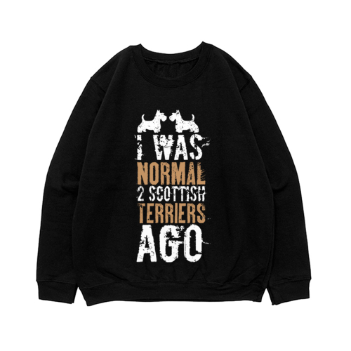 Свитшот "Я был нормальным 2 скотча назад"