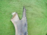 Крыло переднее правое Ford Mondeo 5 (2014-н.в.)