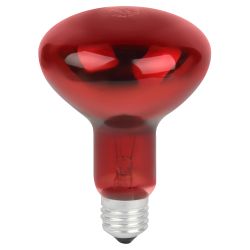 Комплект из 2-х инфракрасных ламп ЭРА ИКЗК 230-100 R95 E27 для курятника цыплят птиц животных/лампа для обогрева