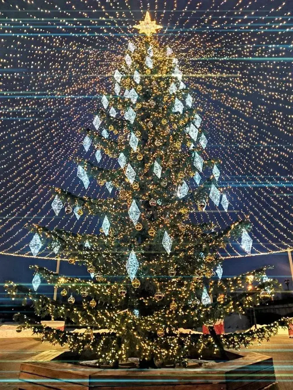 Светодинамическая елка ствольная со скамейкой, встроенная гирлянда: Холодный свет - "Лесная" (Литая хвоя) 18 м