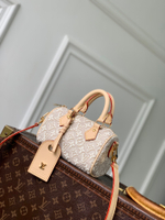Louis Vuitton Nano Speedy