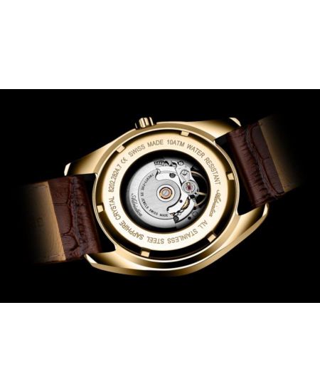 Мужские часы Adriatica A8202.1B13A