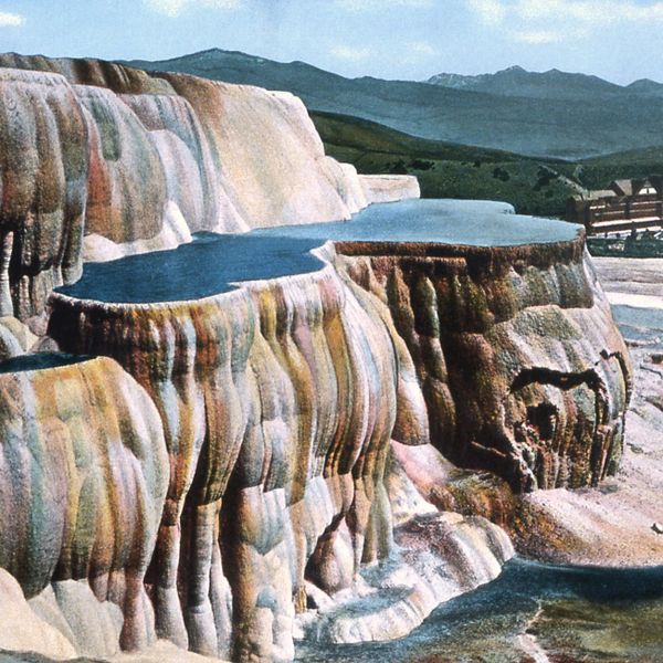 Caswell Massey Mammoth Fragrance Tonic