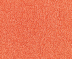 Искусственная кожа Oregon (Орегон) 23