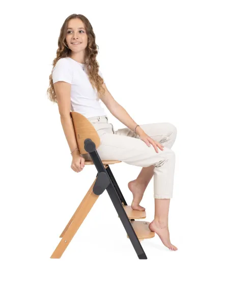 Стульчик для кормления Chicco Meraviglia Ebony