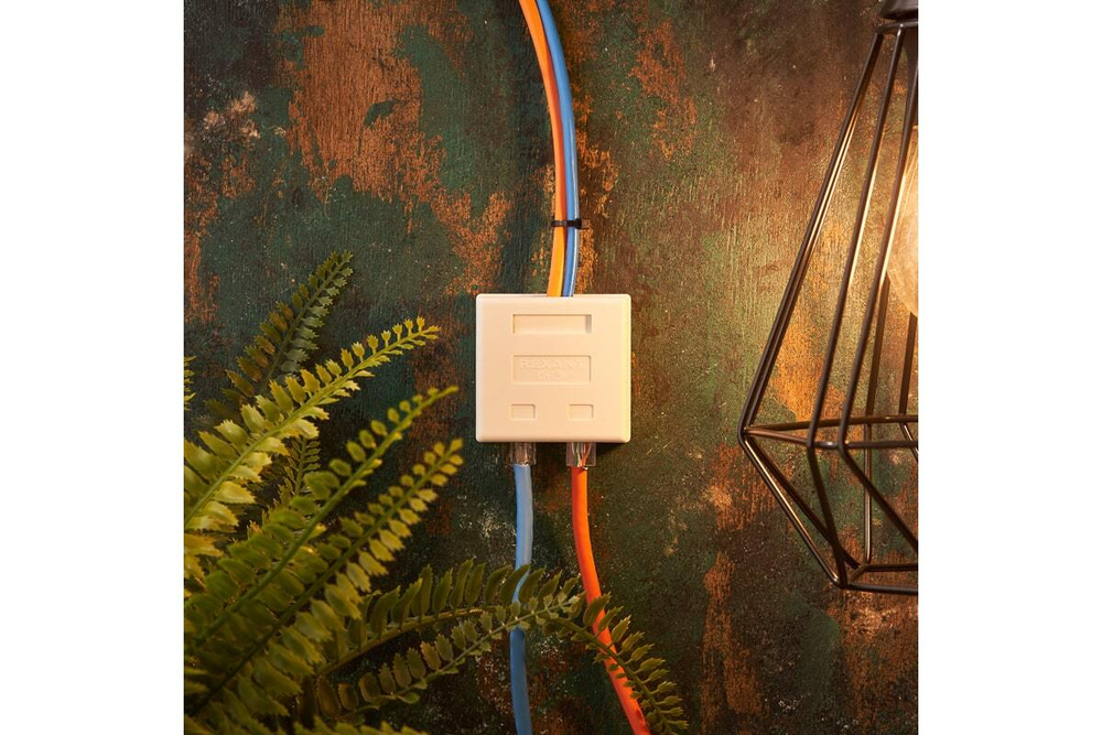 Комбинированная внешняя розетка REXANT RJ-45(8P-8C) + RJ-11(6P-4C), UTP 03-0120