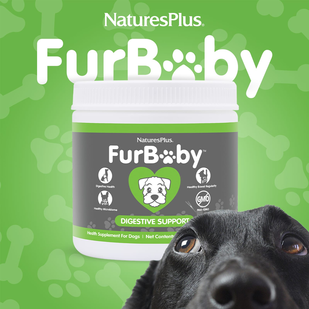NaturesPlus, FurBaby™, добавка для поддержки пищеварения, для собак, 210 г (7,4 унции)