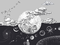 Коллекция COSMOS