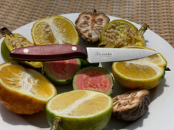 Кухонный нож Alexander L PRO AUS-8 Red G10