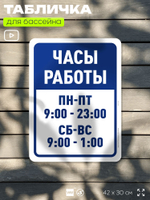 Табличка для бассейна "Часы работы", на пляж, для общественной и частной зоны отдыха, информационная, 40х30 см, Silver Plane x Айдентика Технолоджи