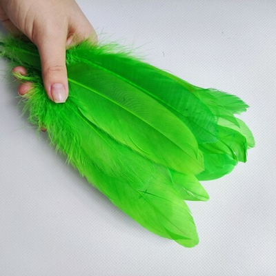 Гусиные перья салатовые 2 сорт 100 шт.