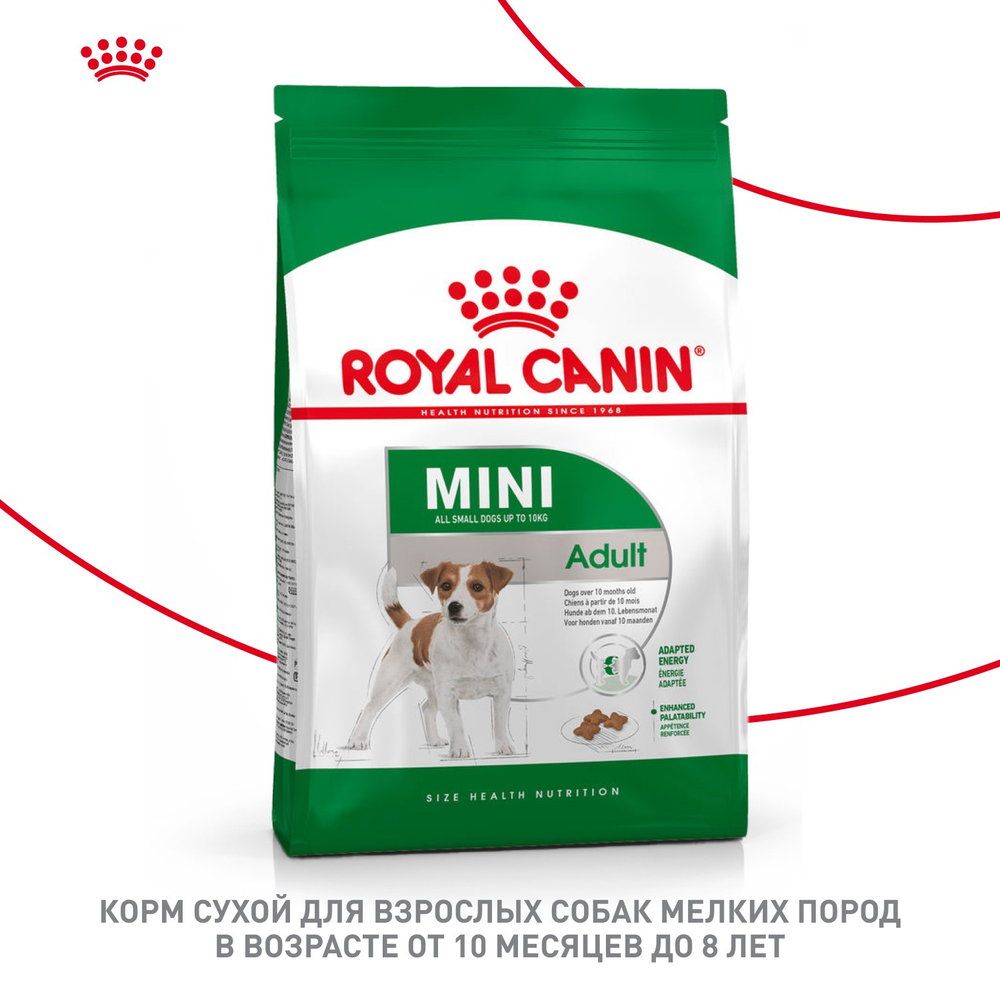 Royal Canin Mini Adult Мини Эдалт Корм сухой для взрослых собак мелких пород от 10 месяцев и старше 4кг