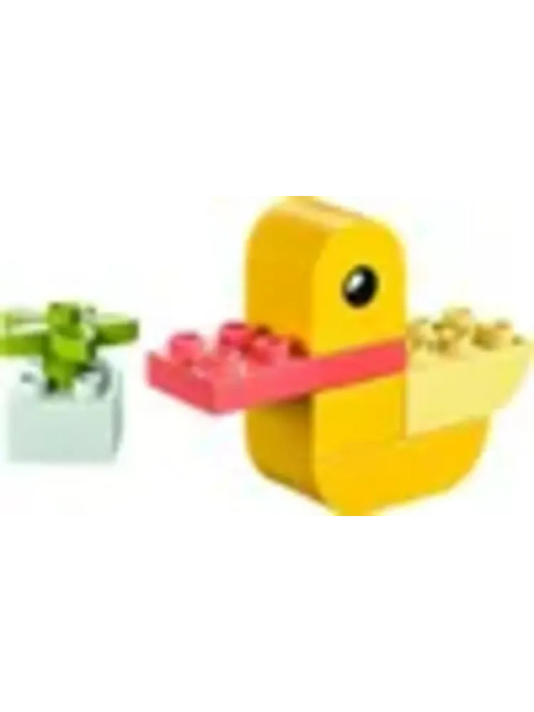 Конструктор DUPLO 30673 Моя первая утка