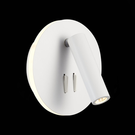 Светильник настенный ST Luce SL1586.513.01