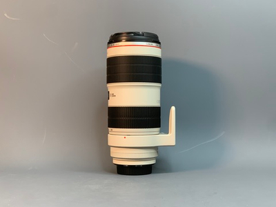 Canon 70-200mm f/2.8 L IS II USM