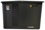 Газовый генератор CTG CG18000SA