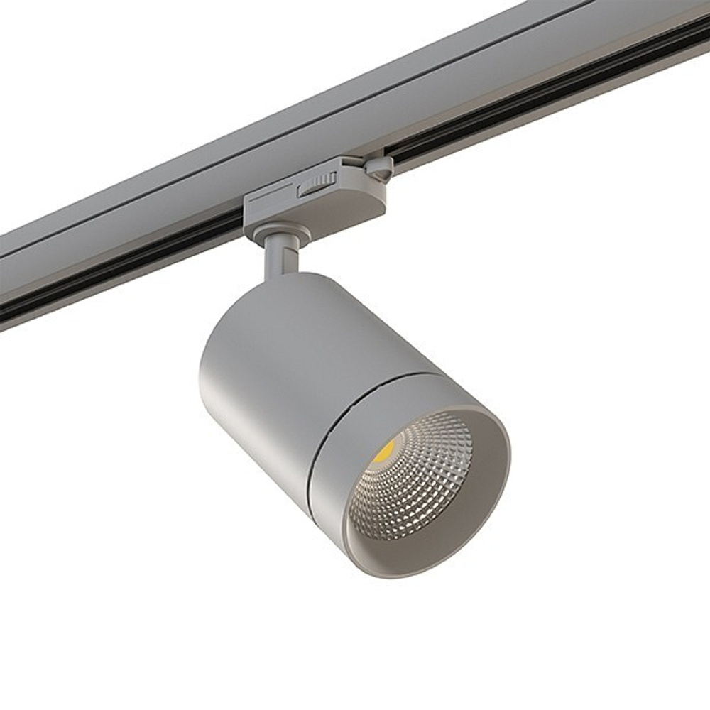 Трековый светильник Lightstar 301592