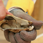 Перчатка кольчужная пятипалая Sanflex нерж.