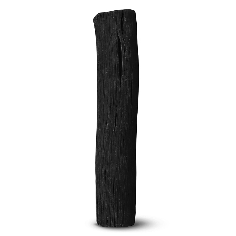 Набор угольных фильтров-ионизаторов black+blum, 4 шт.