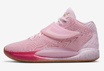 Купить Nike KD 14 Aunt Pearl