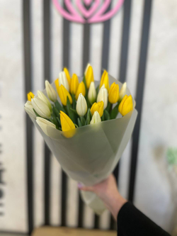 Букет 25 белых и желтых тюльпанов