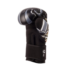 Боксерские перчатки StormCloud Boxing Daisho Fujin & Raijin