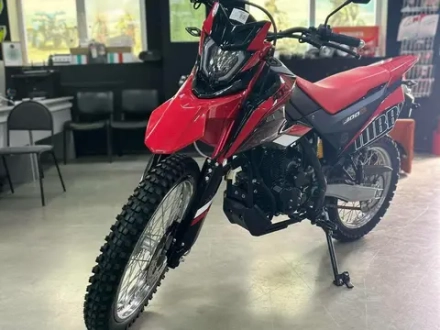 Racer RC300-GY8K XVR Красный