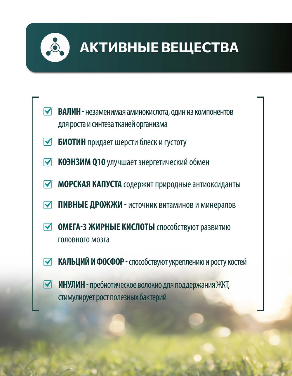Vita+ мультивитаминное лакомство для щенков и молодых собак Здоровый малыш, 90 таблеток