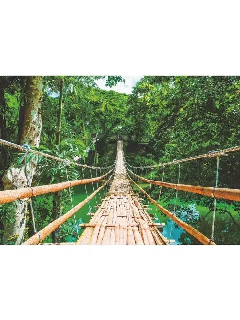 Фотообои "Симфония" бумажные Бамбуковый мост 280*200 см