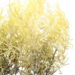 Искусственные цветы «Фантазия» 38см цвет свежая зелень 23