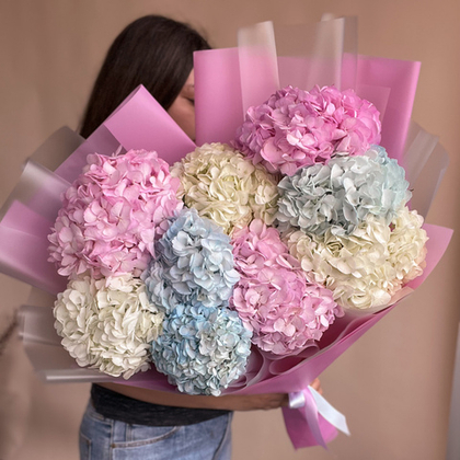Разноцветные гортензии 9 шт