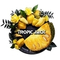 BlackBurn Tropic Jack (Джекфрут) 25 гр.