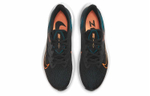 Кроссовки Nike Zoom Winflo 7