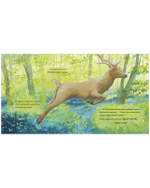 Книжки-картинки. Каждый из нас чудо!