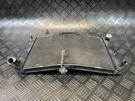 Радиатор Yamaha FZ1 Fazer RN17