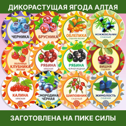 Диоскорея корень.